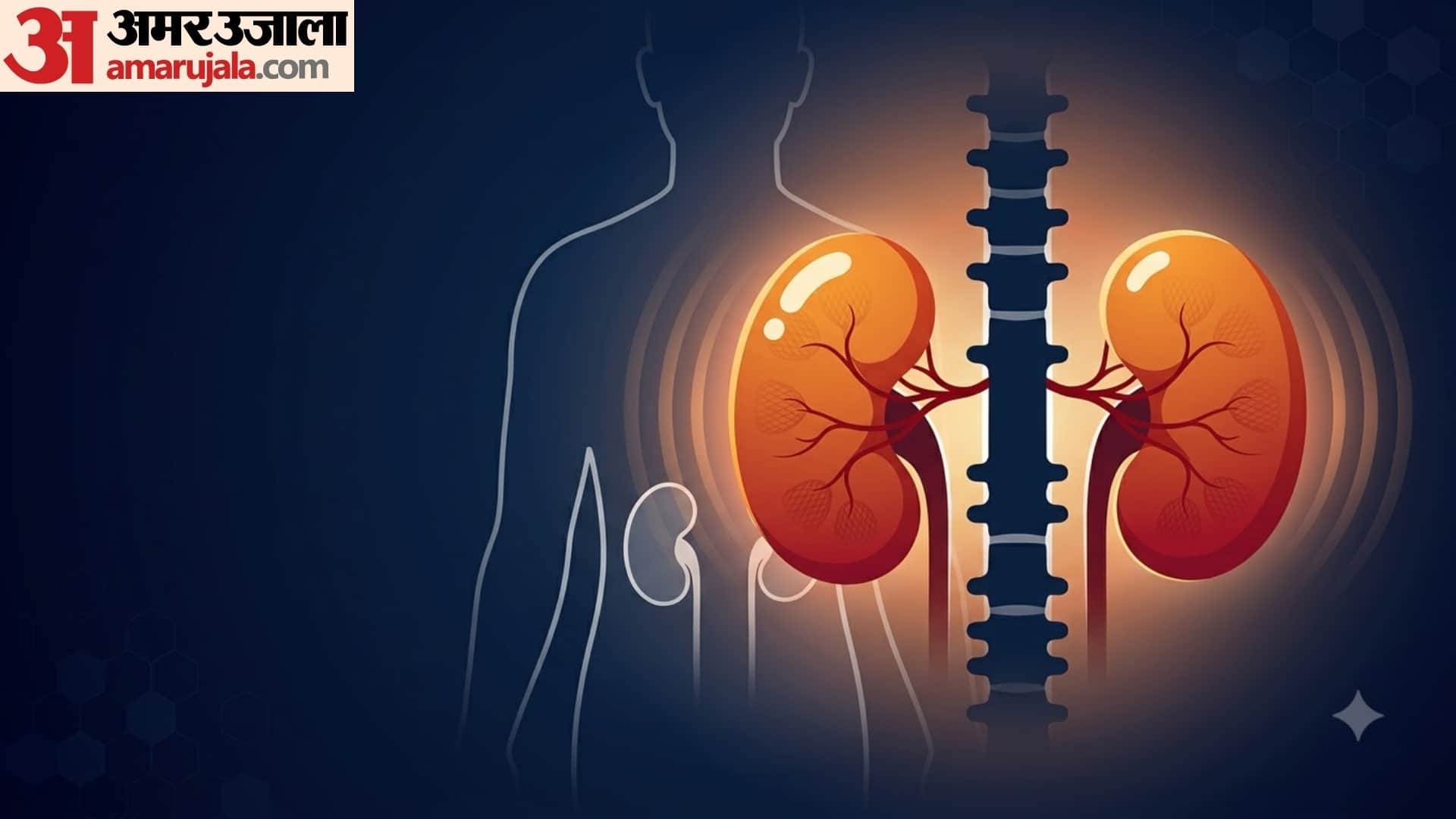 how kidney works in human body in hindi kidney ka kya kaam hota hai