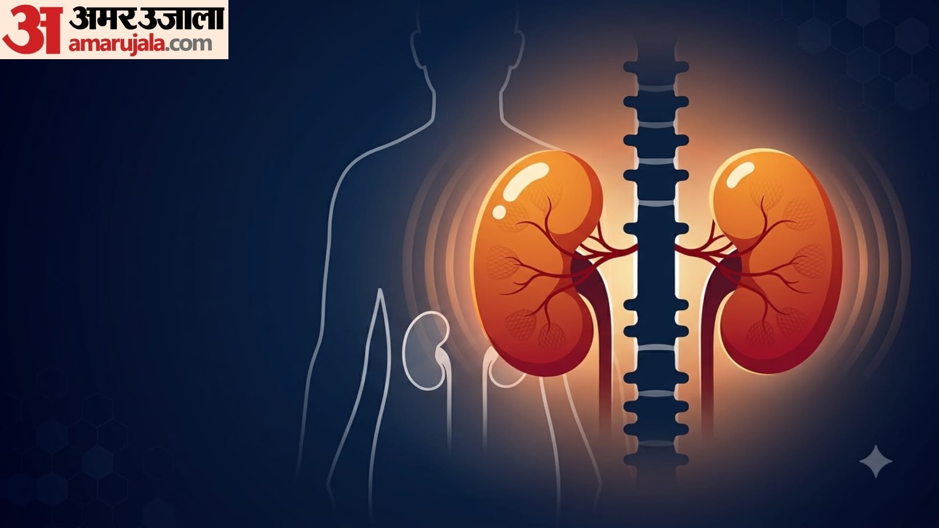 how kidney works in human body in hindi kidney ka kya kaam hota hai