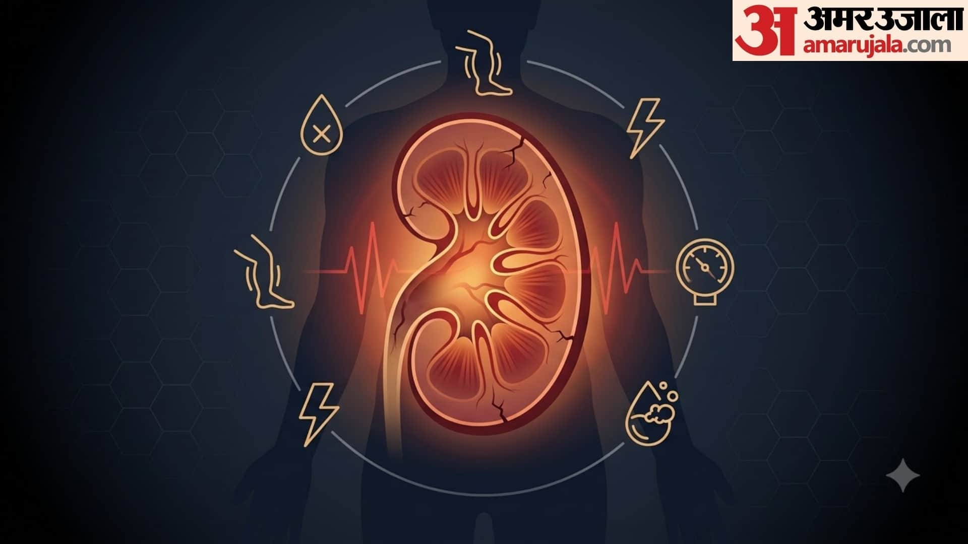 how kidney works in human body in hindi kidney ka kya kaam hota hai