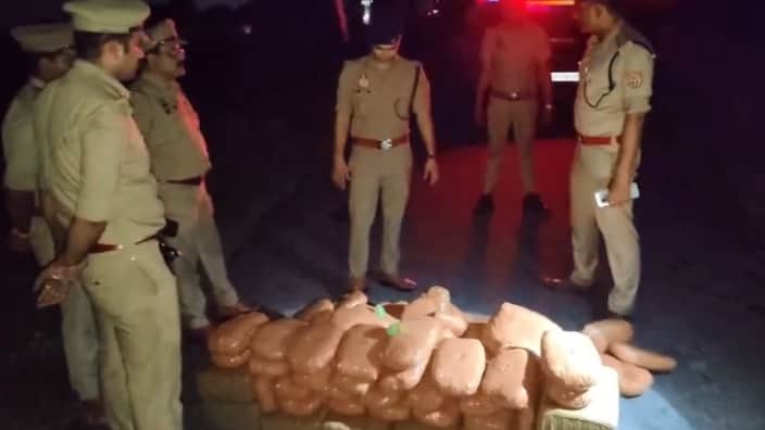 Kanpur Two smugglers arrested with 200 kg of cannabis the contraband was being transported in two cars