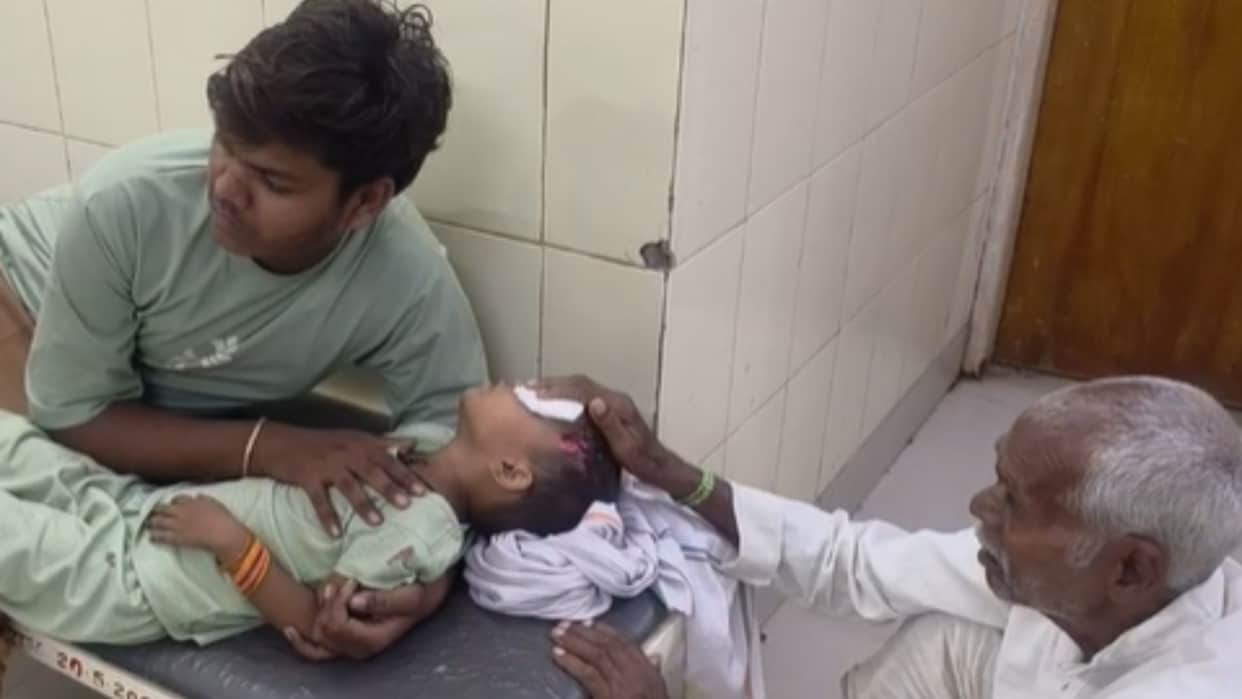 Alwar stray dog attack on 5 year old girl rajasthan news