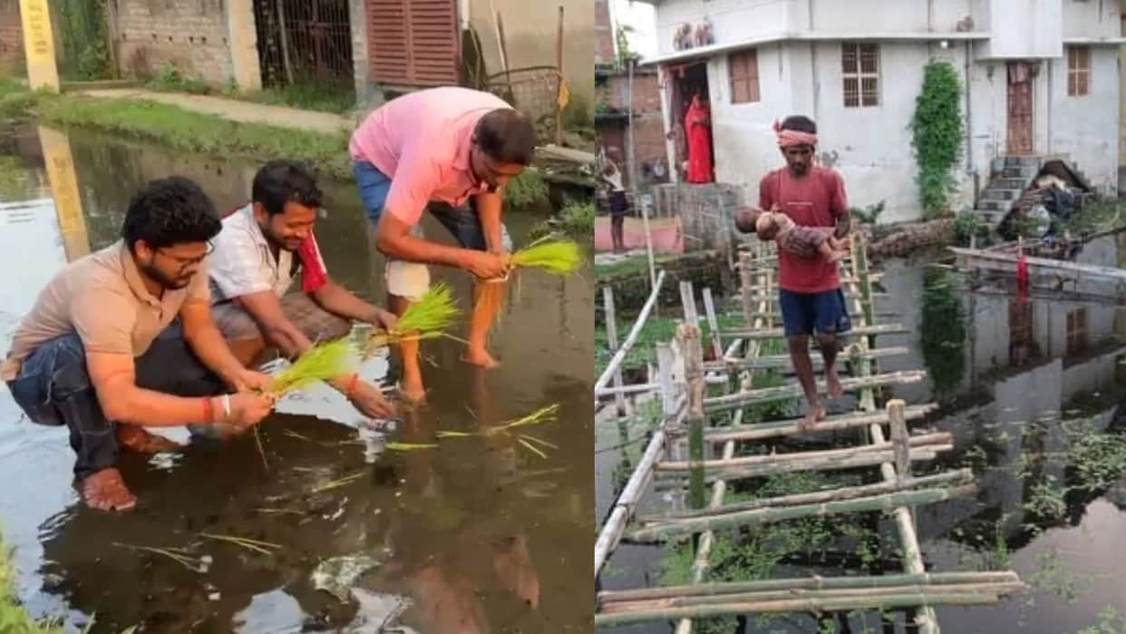 Bihar Angered Over Waterlogging, Locals Plant Paddy On Flooded Road in Unique Protest