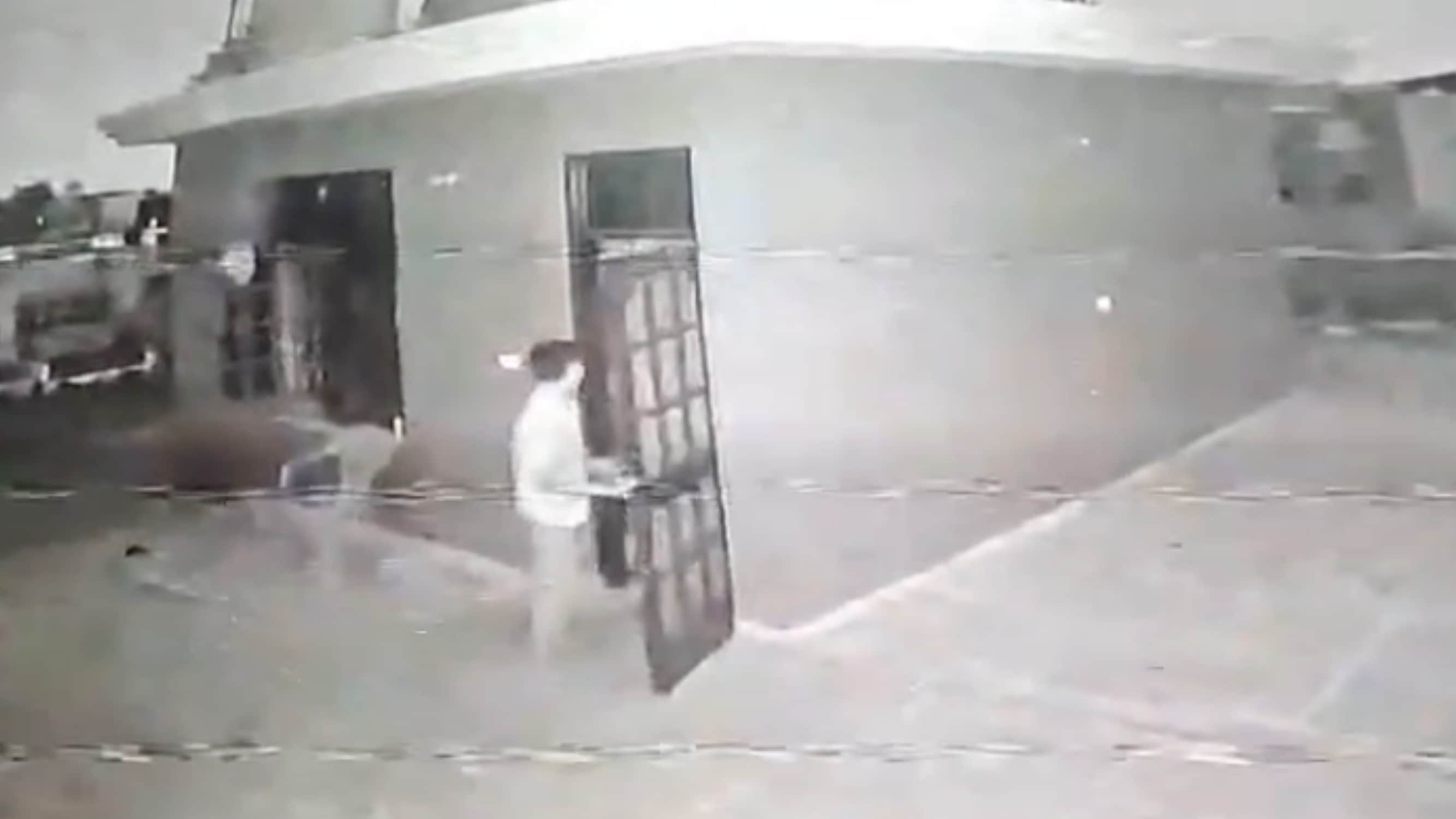 Video surfaces showing the disposal of the body of a retired captain's wife after her murder in Panchkula.
