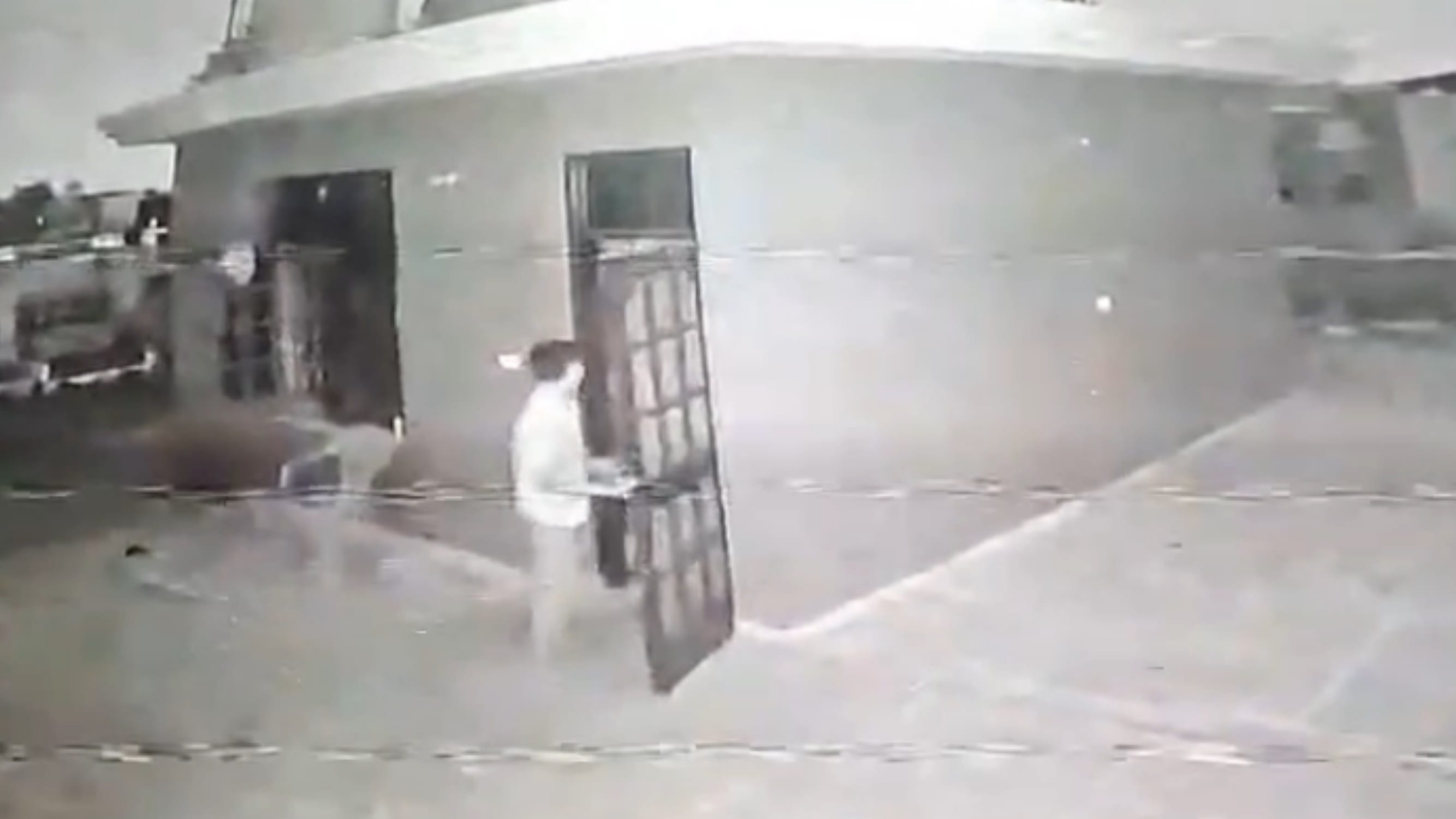 Video surfaces showing the disposal of the body of a retired captain's wife after her murder in Panchkula.
