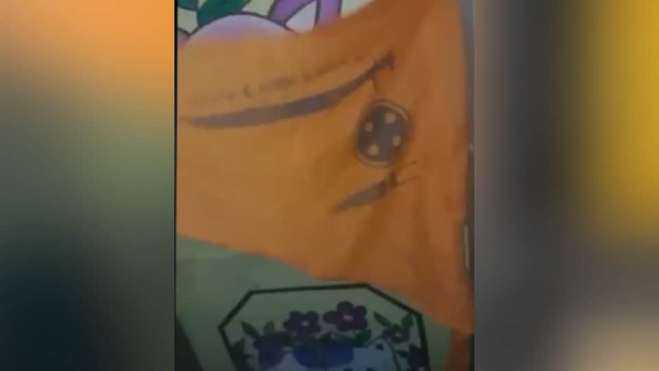 स्कूल में दिख रहा खालिस्तानी झंडा