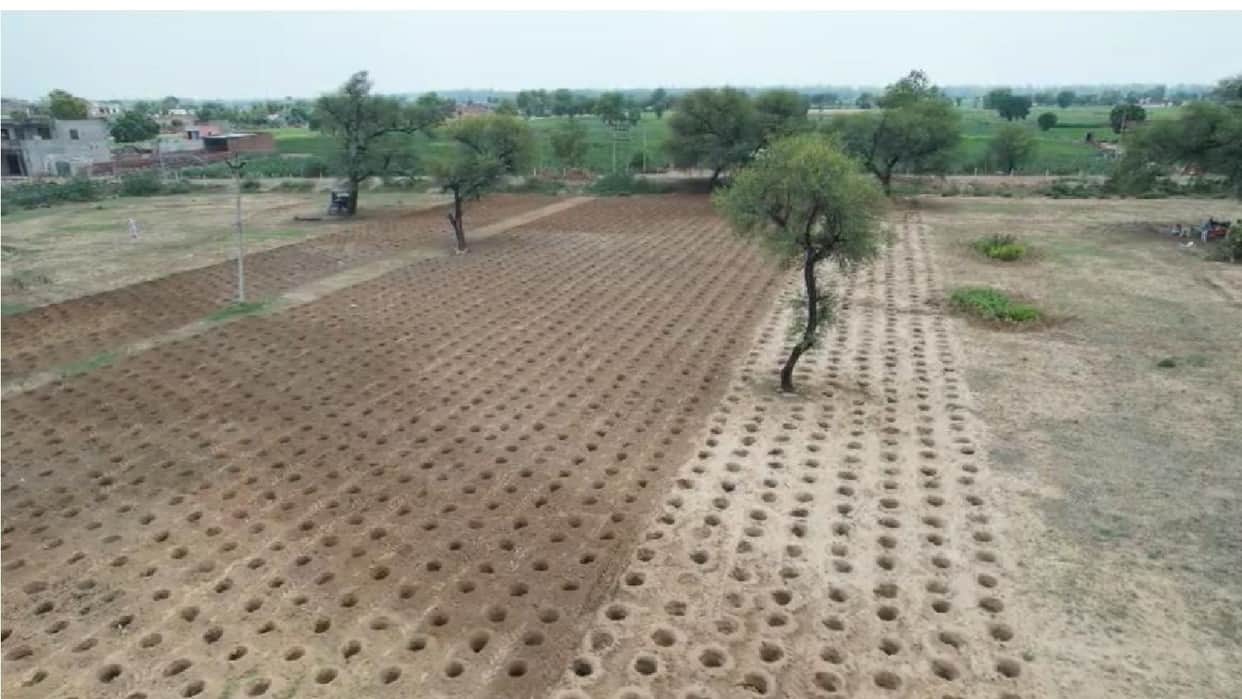 District-level Van Mahotsav to be celebrated in Hisar and Fatehabad; message of environmental conservation