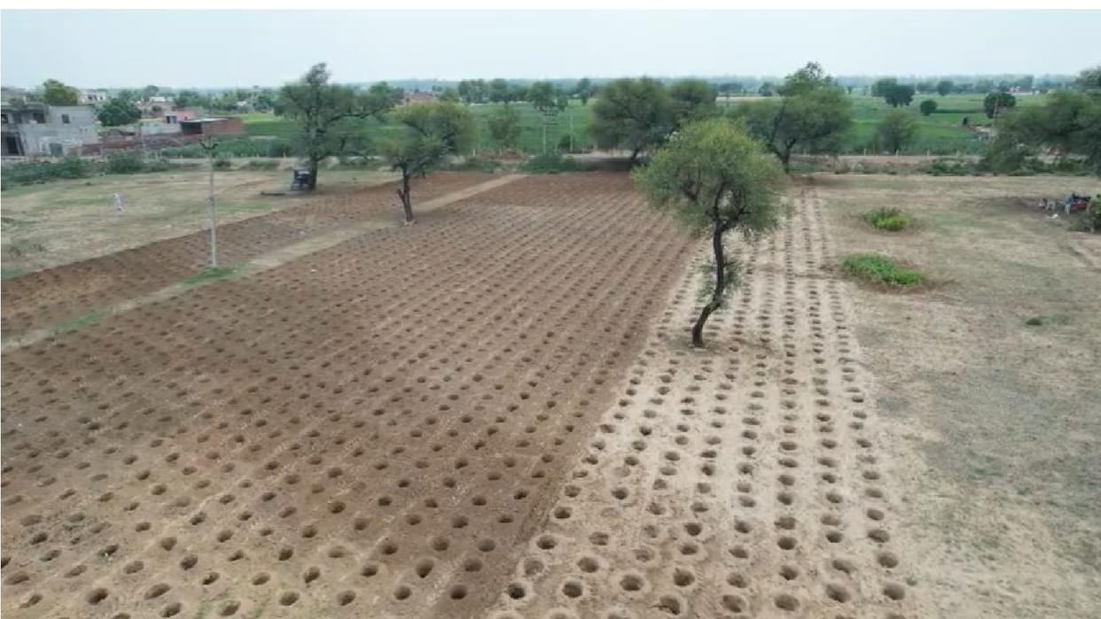District-level Van Mahotsav to be celebrated in Hisar and Fatehabad; message of environmental conservation