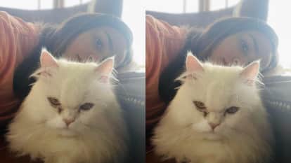 International Cat Day: Alia Bhatt shares adorable selfies with her cat Edward says Happy Eddie day