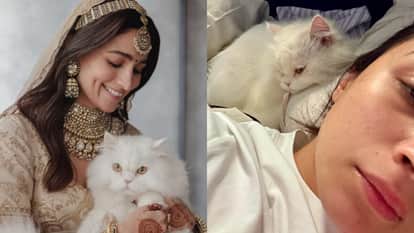 International Cat Day: Alia Bhatt shares adorable selfies with her cat Edward says Happy Eddie day