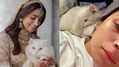 International Cat Day: Alia Bhatt shares adorable selfies with her cat Edward says Happy Eddie day
