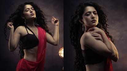 Who Is Charlie Chauhan Who Tied The Knot With Cricketer Ramandeep Singh In An Intimate Ceremony