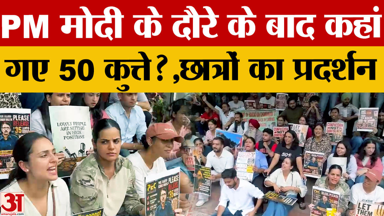 Chandigarh News: PEC में स्ट्रे डॉग्स हटाने पर बवाल, डायरेक्टर के इस्तीफे की मांग