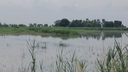 खेतों में बाढ़ का पानी