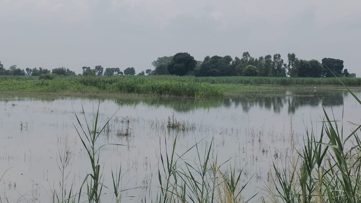Water level in the Ganga River nears danger mark alert issued in Shahjahanpur