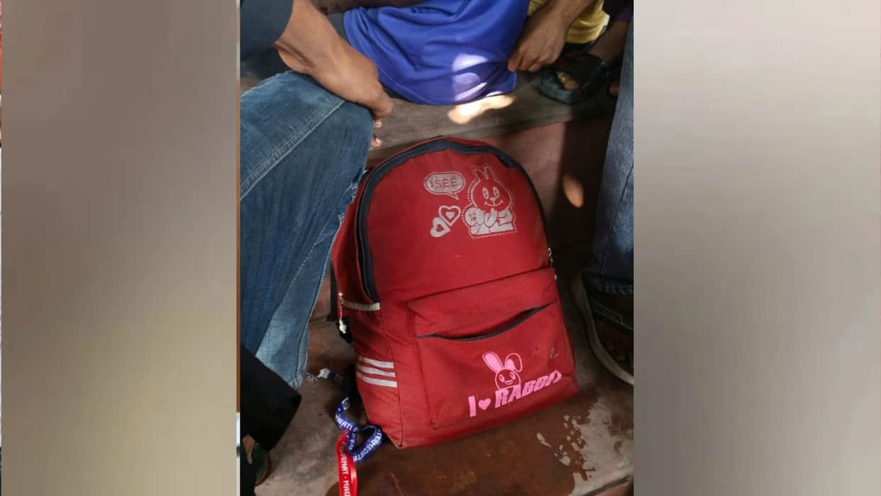 Female student jumps into Saryu River in Gorakhpur's Badhalganj; missing, search underway.