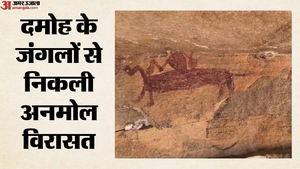 जंगलों में मिले प्राचीन शैलचित्र
