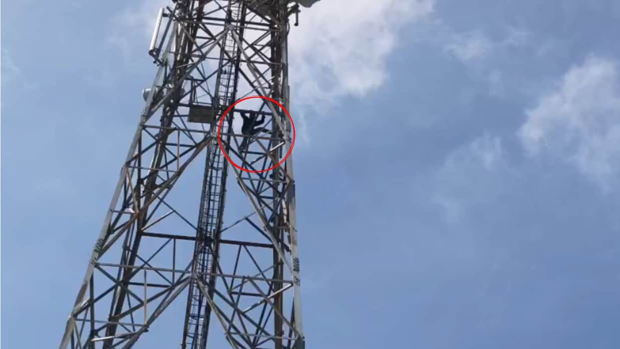 Lover climbs mobile tower insisting on marrying his girlfriend in azamgarh