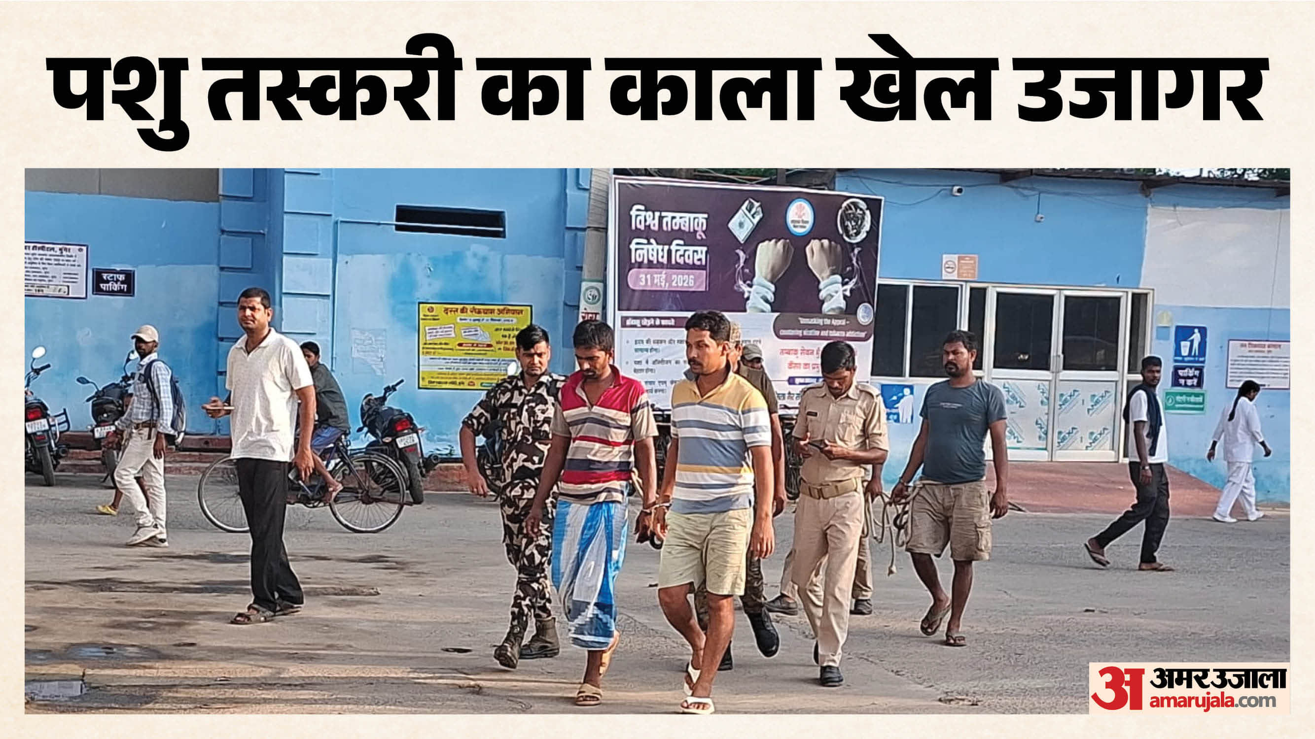 मुंगेर में पशु तस्करी का बड़ा खेल बेनकाब