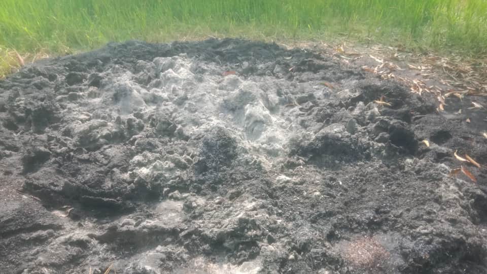 Pilibhit Murder When son return from Haryana searched for his mother he found bangles bones in heap of fodder