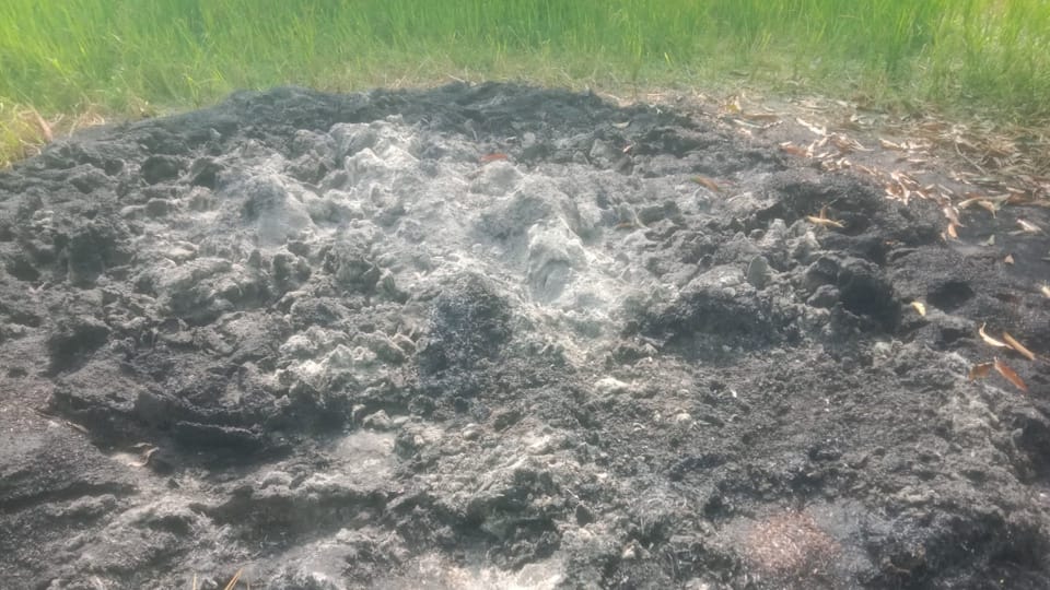Pilibhit Murder When son return from Haryana searched for his mother he found bangles bones in heap of fodder