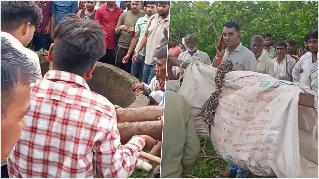 Rajasthan News: Youth Flees Bee Attack, Falls into Open Well; Worker Dies Tragically in Bharatpur