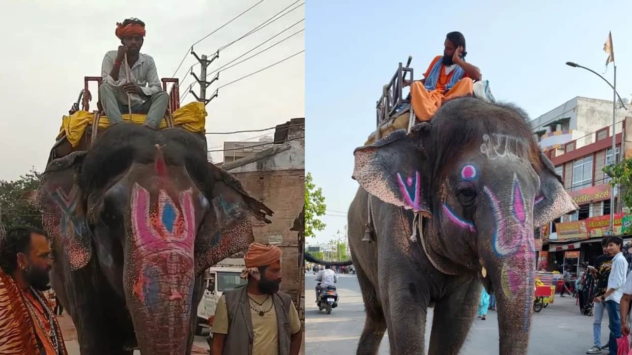 Ujjain News Administration Faces Dilemma Over Lead Elephant for Mahakal Sawari