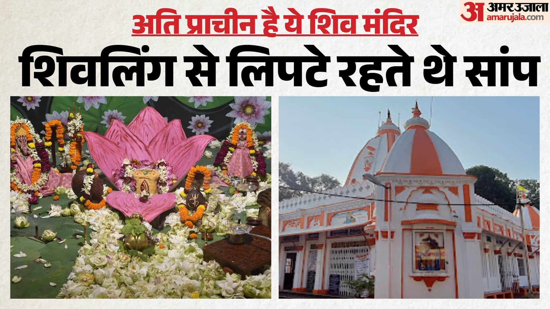 ग्रॉफिक्स: अमर उजाला डिजिटल