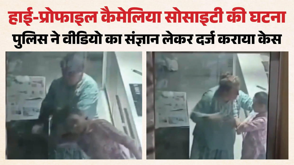करोड़ों के फ्लैट में दो कौड़ी की हरकत: घरेलू सहायिका को धक्का दिया, मुंह दबाया, बाल खींचे व मारे थप्पड़; VIDEO Woman brutally beat domestic help in a multi crore flat