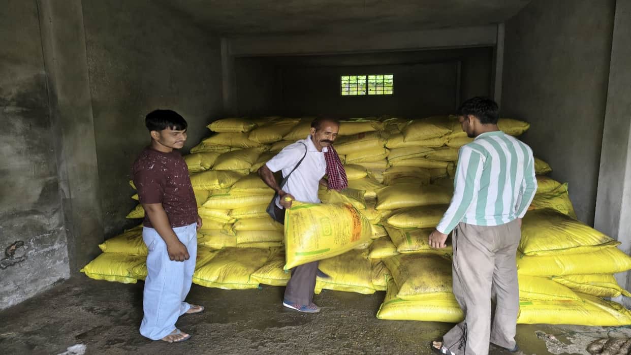 consignment of 700 bags of urea has arrived at the Ramshahar Agricultural Service Cooperative Society.