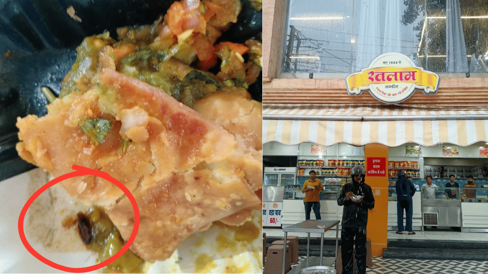 indore-news-cockroach-found-in-samosa-food-safety-department-issues-notice