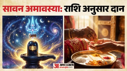 सावन अमावस्या दान