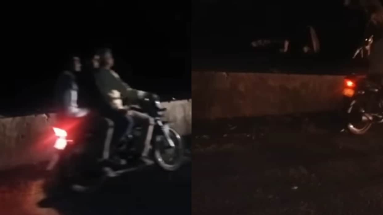 Lion Attacks Three Bikers After They Stop on Roadside Terrifying Video Goes Viral on Internet