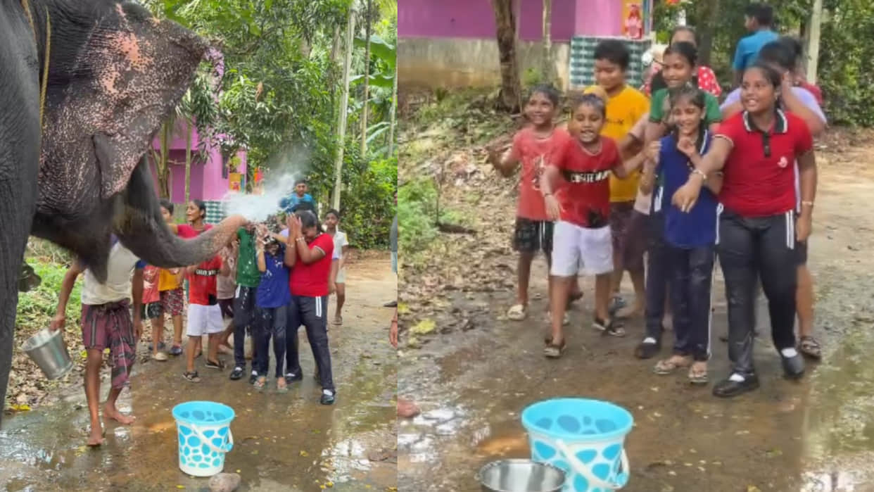 Elephant sprays water on kids with its trunk video goes viral on internet