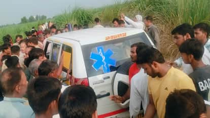 UP: Farmer mauled to death by stray dogs in Meerut; flesh torn from body and eaten, skeleton found in field