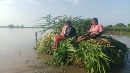 Yamuna River Swells, Farmers Panic as Flood Threat Looms Over 20 Villages in Tundla