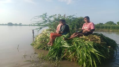 Yamuna River Swells, Farmers Panic as Flood Threat Looms Over 20 Villages in Tundla
