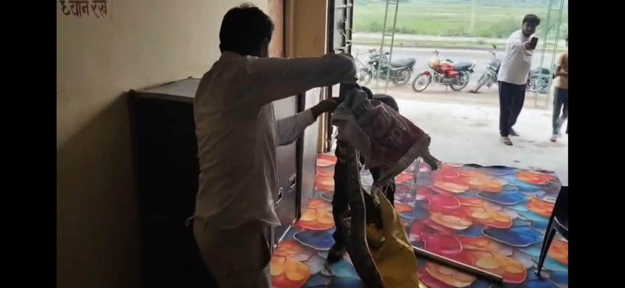 Auraiya: 15-Foot-Long Python Rescued from Guest House, Forest Team Takes Action