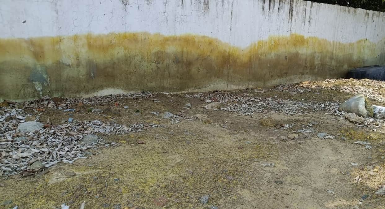 Kanpur Hexavalent chromium confirmed in Purvamir risk of lung cancer Impact waste begins to show on walls