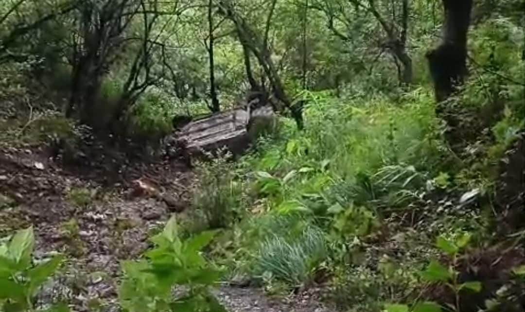 Nainital Accident car traveling from Haldwani to Nainital plunges into a gorge, four injured