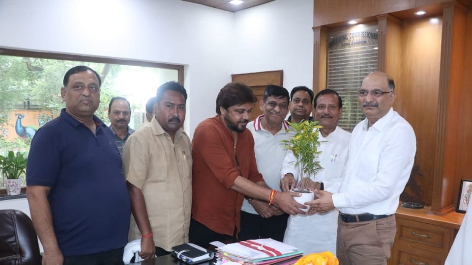 Janakpuri Festival Preparations: Road, Cleanliness, Lighting and Drainage Works to Be Prioritized