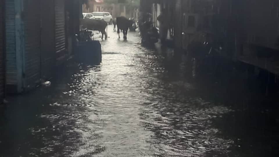 Meerut Rain: Heavy Rain Causes Waterlogging Across City, Kanwariyas Perform Jalabhishek Amid Downpour