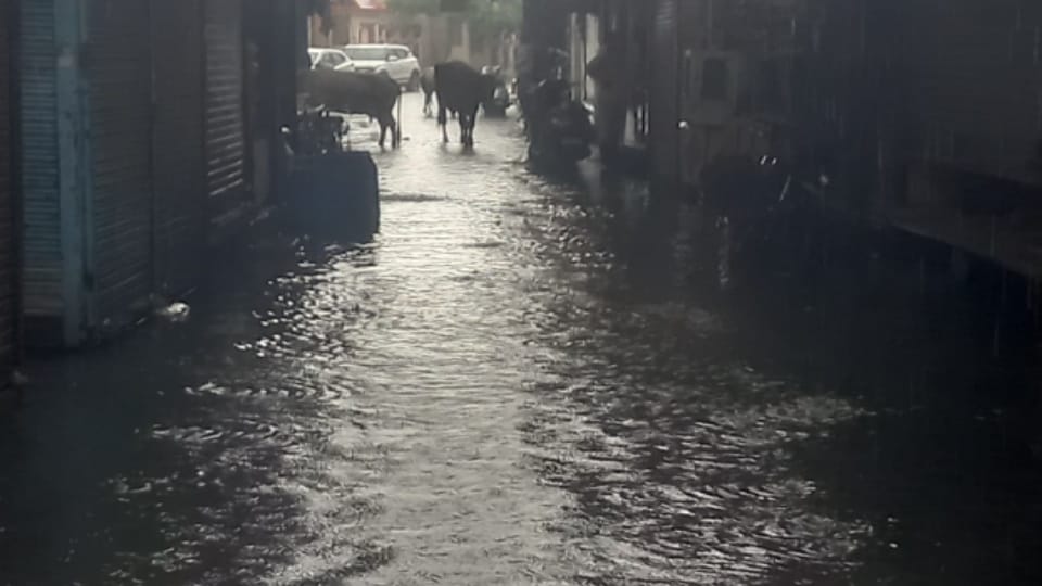 Meerut Rain: Heavy Rain Causes Waterlogging Across City, Kanwariyas Perform Jalabhishek Amid Downpour