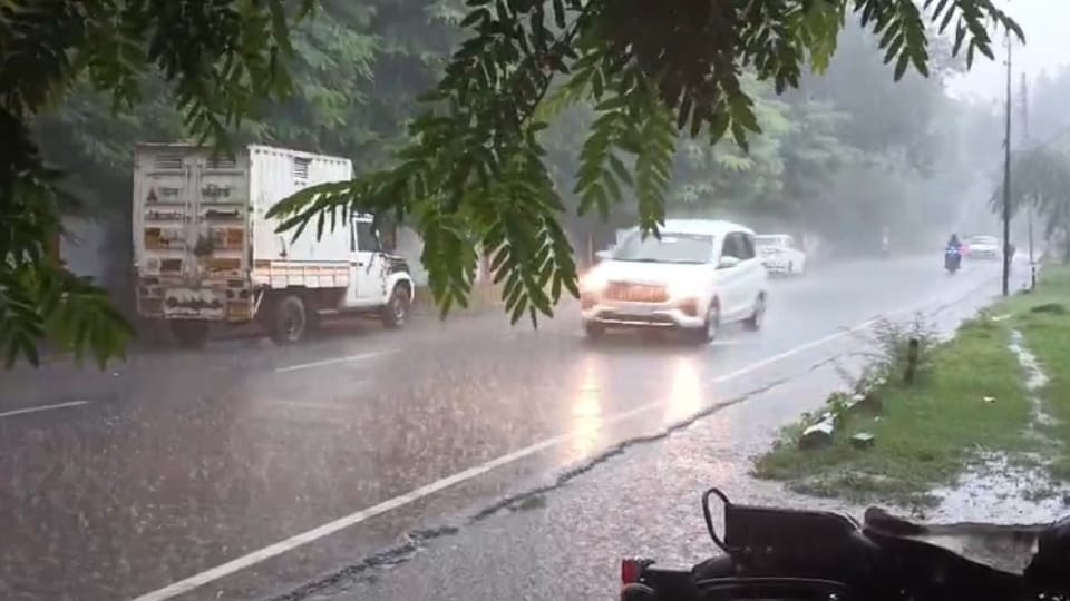 Meerut: Drizzle Brings Relief from Heat as Temperature Drops; Paddy Crop at Risk Due to Strong Winds