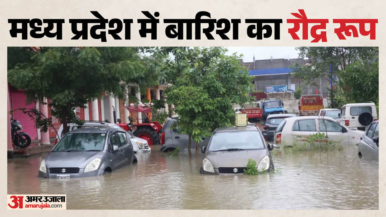 Rain wreaks havoc in MP: Rivers and streams overflow, roads blocked, schools closed; heavy rain alert for 10 d