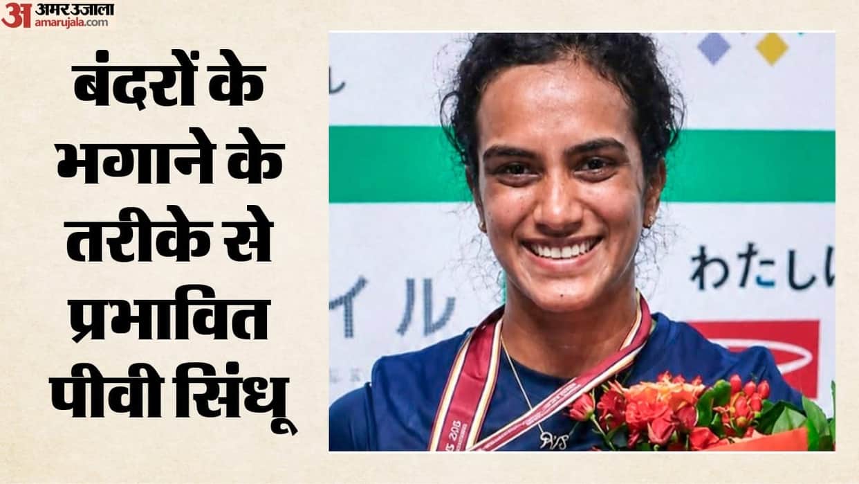 PV Sindhu Praises Uniquely Indian Efforts to Keep Monkeys Away During BWF World Championships in Delhi