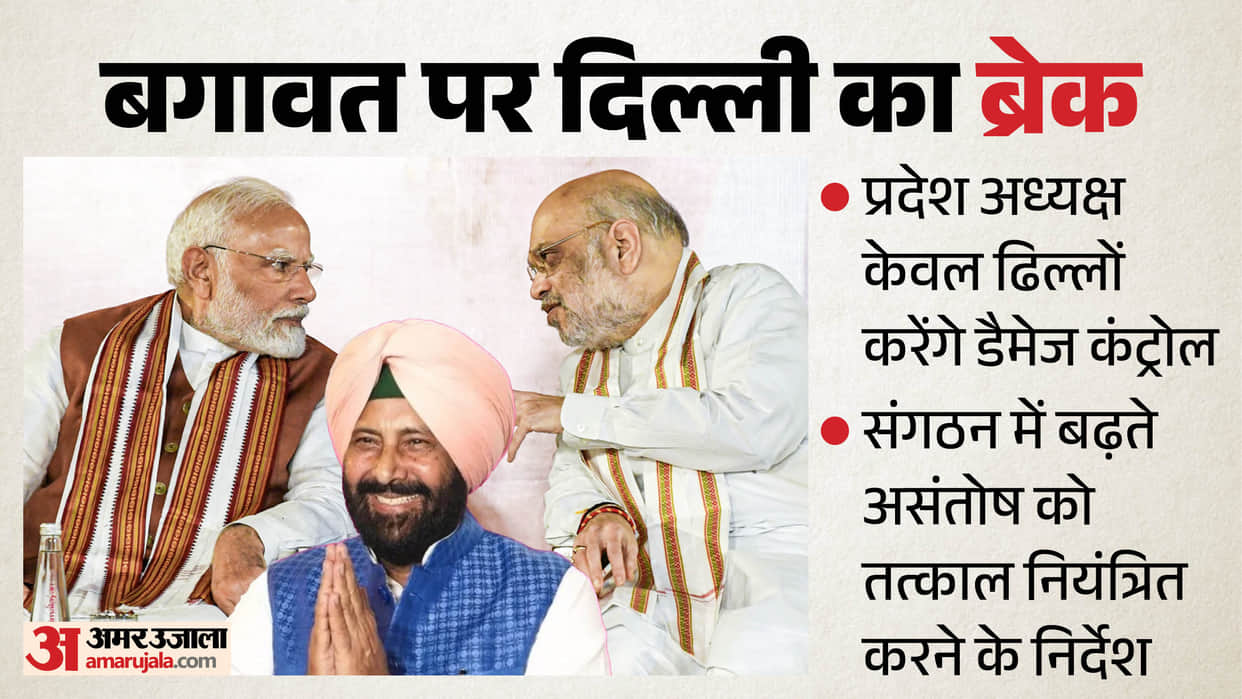 Punjab Politics Keval Singh Dhillon Assigned Damage-Control Mission Updates in Hindi