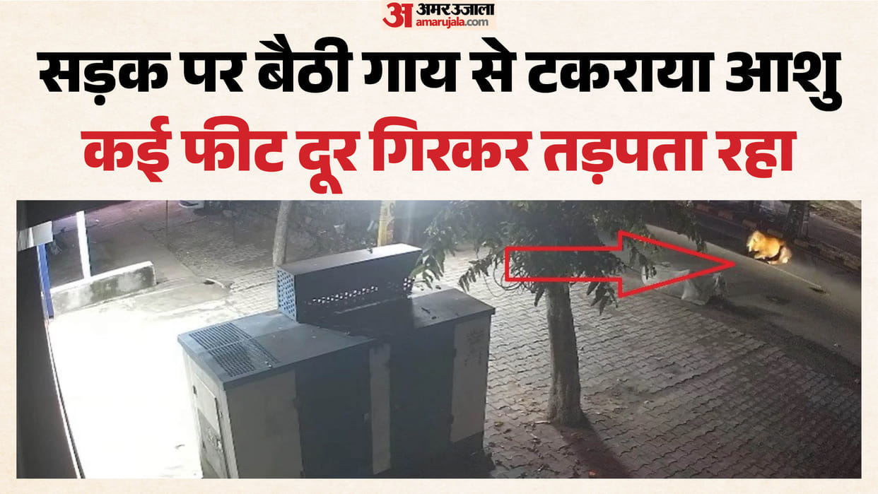 सामने अस्पताल, सड़क पर जिंदगी की जंग: एक घंटे तड़पता रहा आशु, फिर थम गईं सांसें; जिम्मेदार कौन? देखें VIDEO Scooter hits cow on road in Faridaba businessman dies