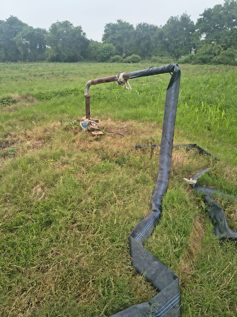 Kanpur: Tubewell Cable and Starter Theft Creates Panic in Maharajpur Village