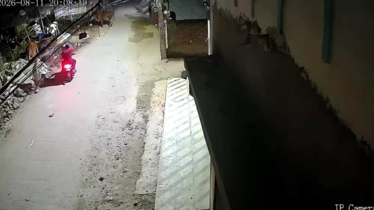 patna firing bike borne criminals shoot youth four bullets ramkrishna nagar cctv footage