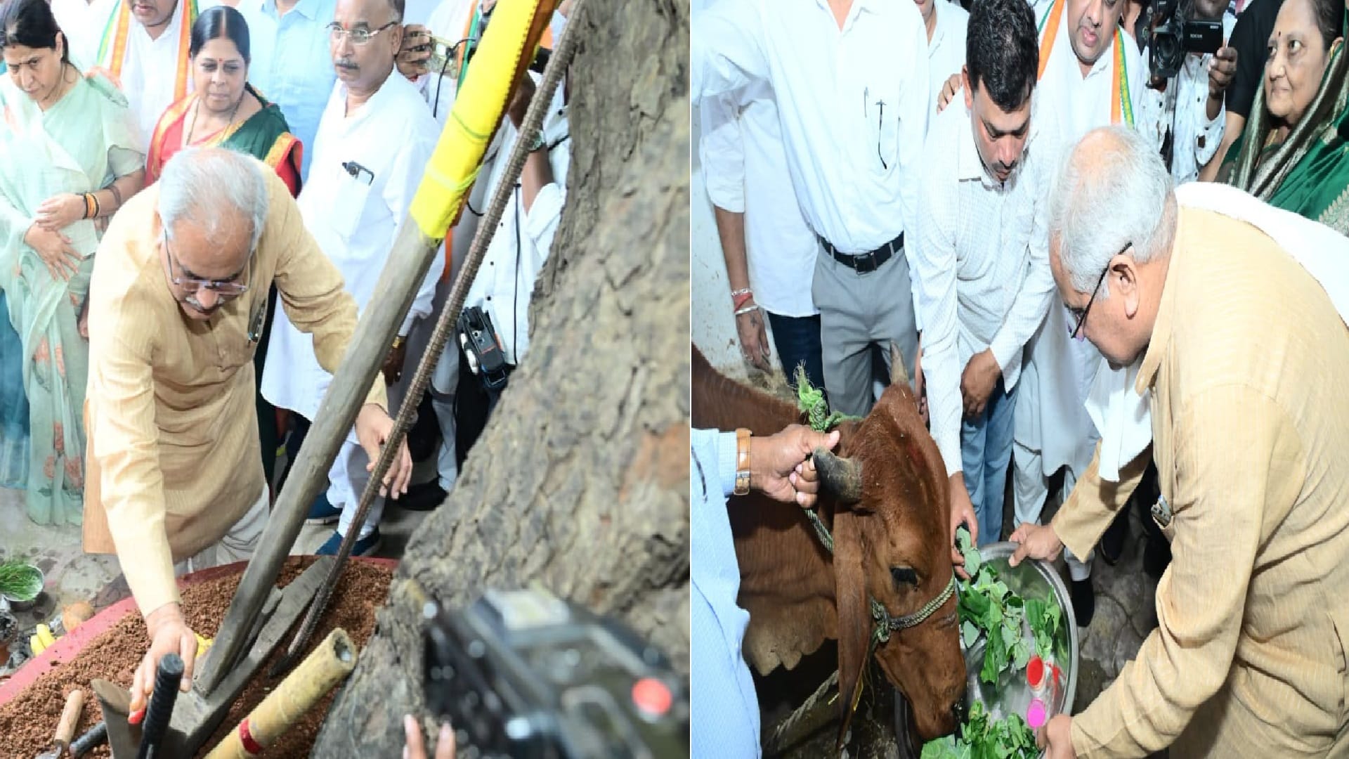 पूर्व सीएम भूपेश बघेल ने की पशु धन और कृषि यंत्रों की पूजा